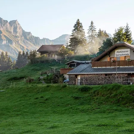 Central Serviced Apartment Engelberg Exterior photo