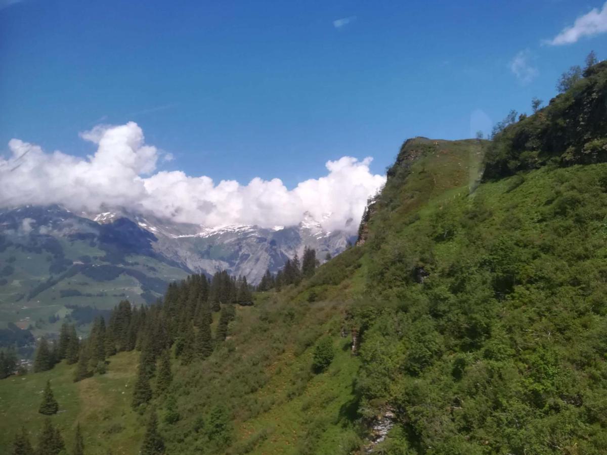 Serviced * Engelberg