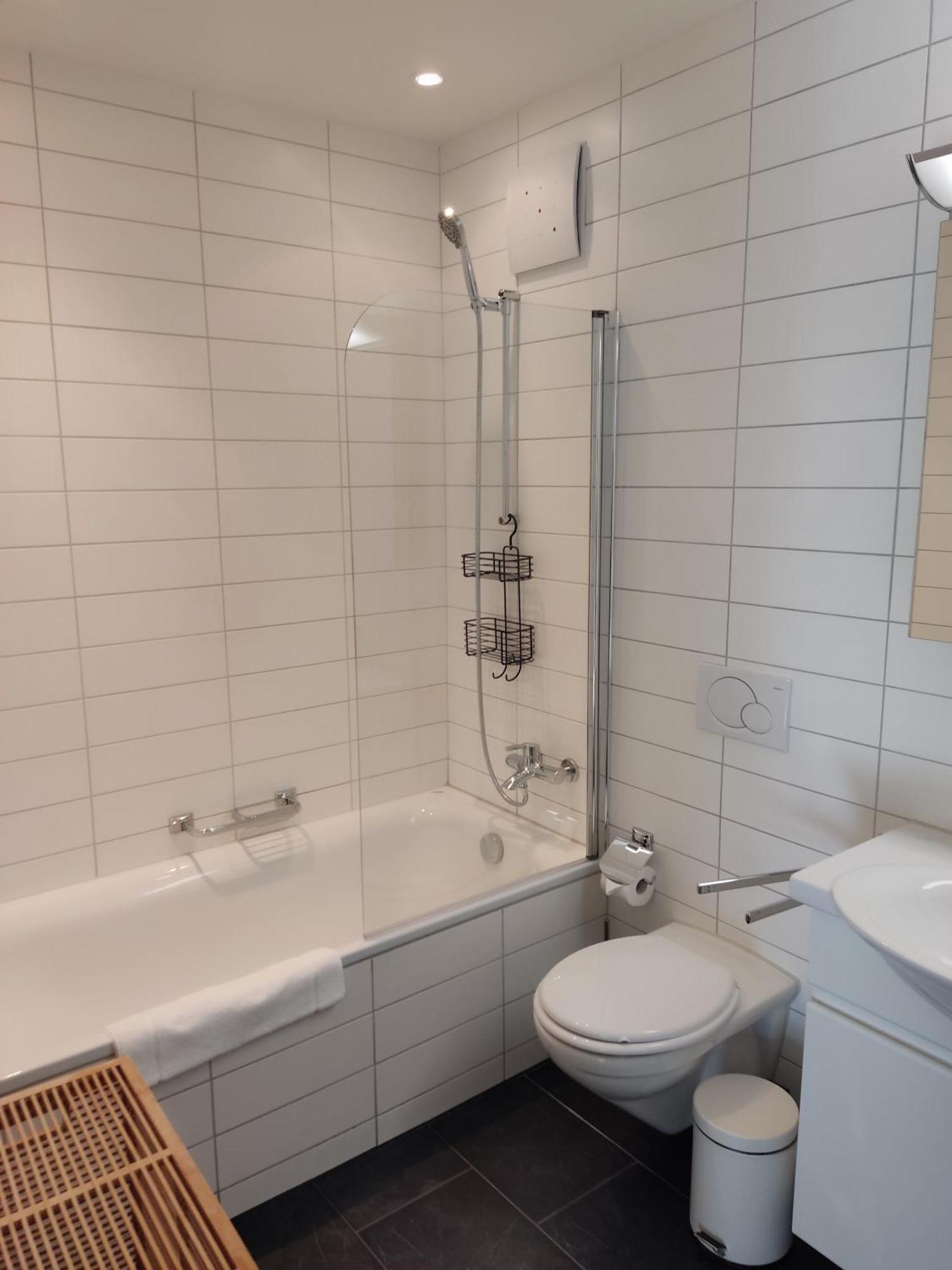 Serviced Apartment *